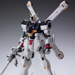 [PREVENTA] MG 1/100 CROSSBONE GUNDAM X-1 ver.Ka